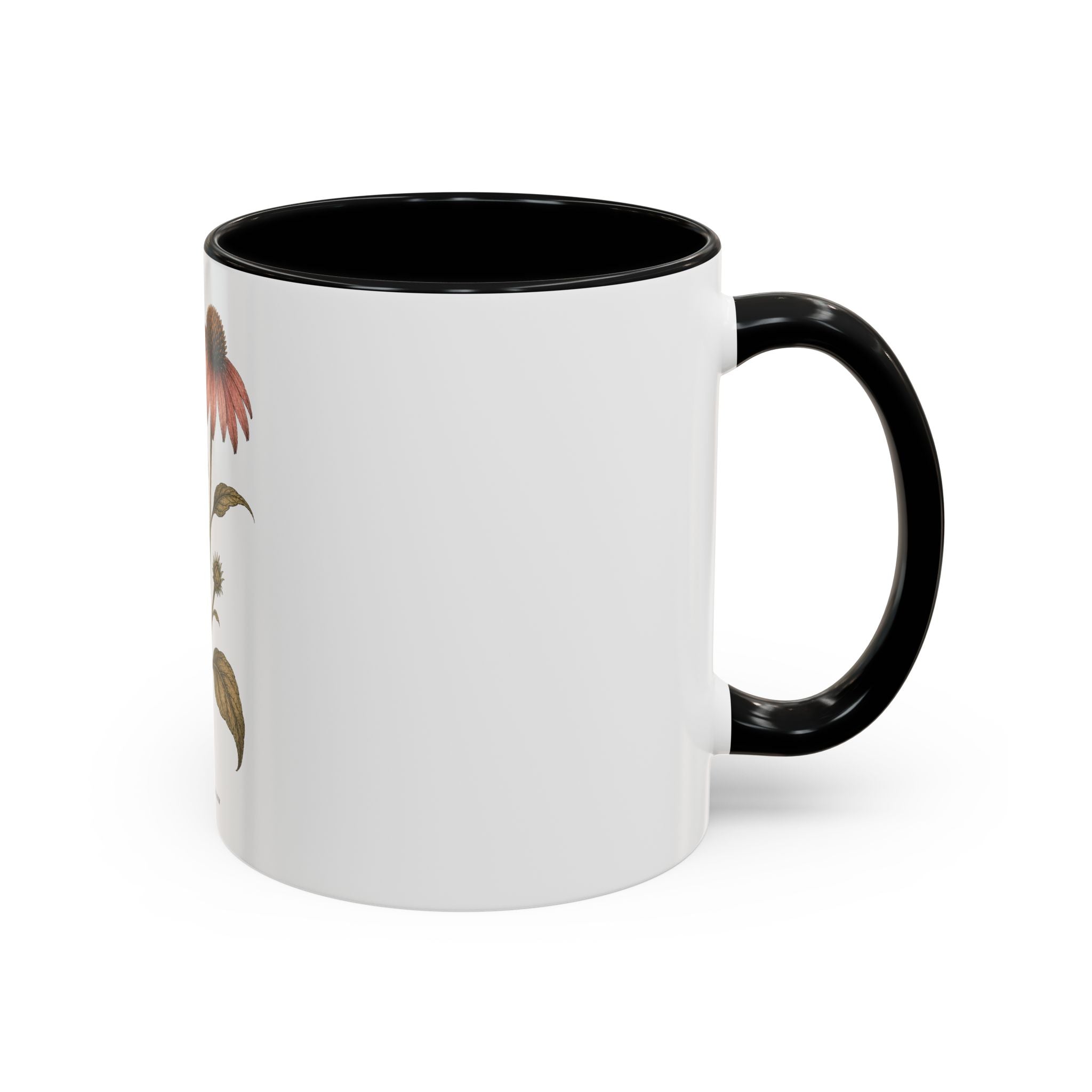 Botanical Coffee Mug, Echinacea and Honeybee Garden Design