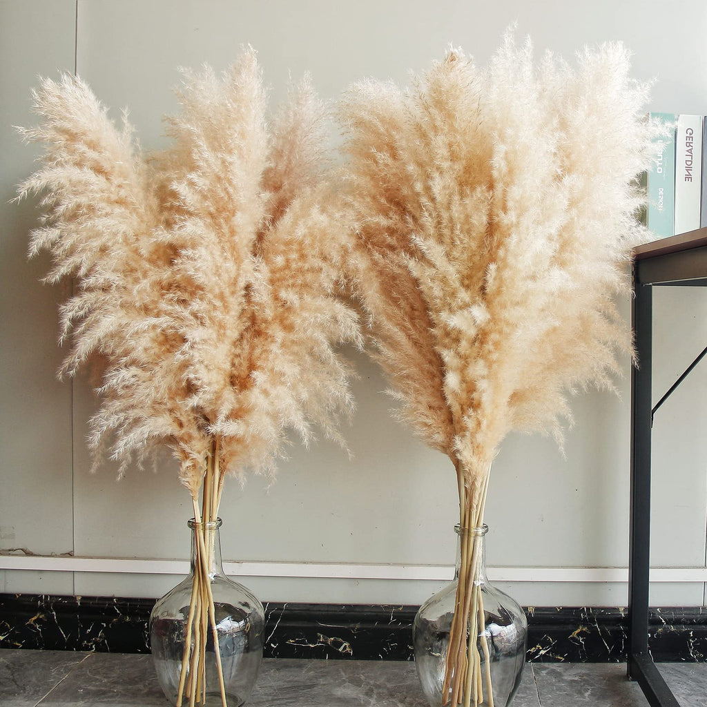 Dried Pampas Grass — Tall (10 Stems, 40")