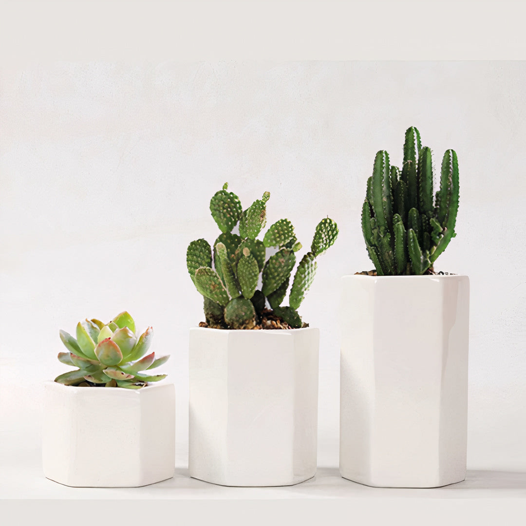 Ceramic Planters — Set of 3 with Bamboo Tray