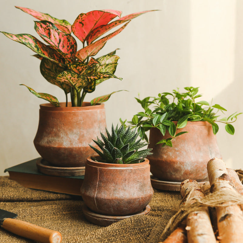 Terracotta Flower Pot — Vintage Red Clay