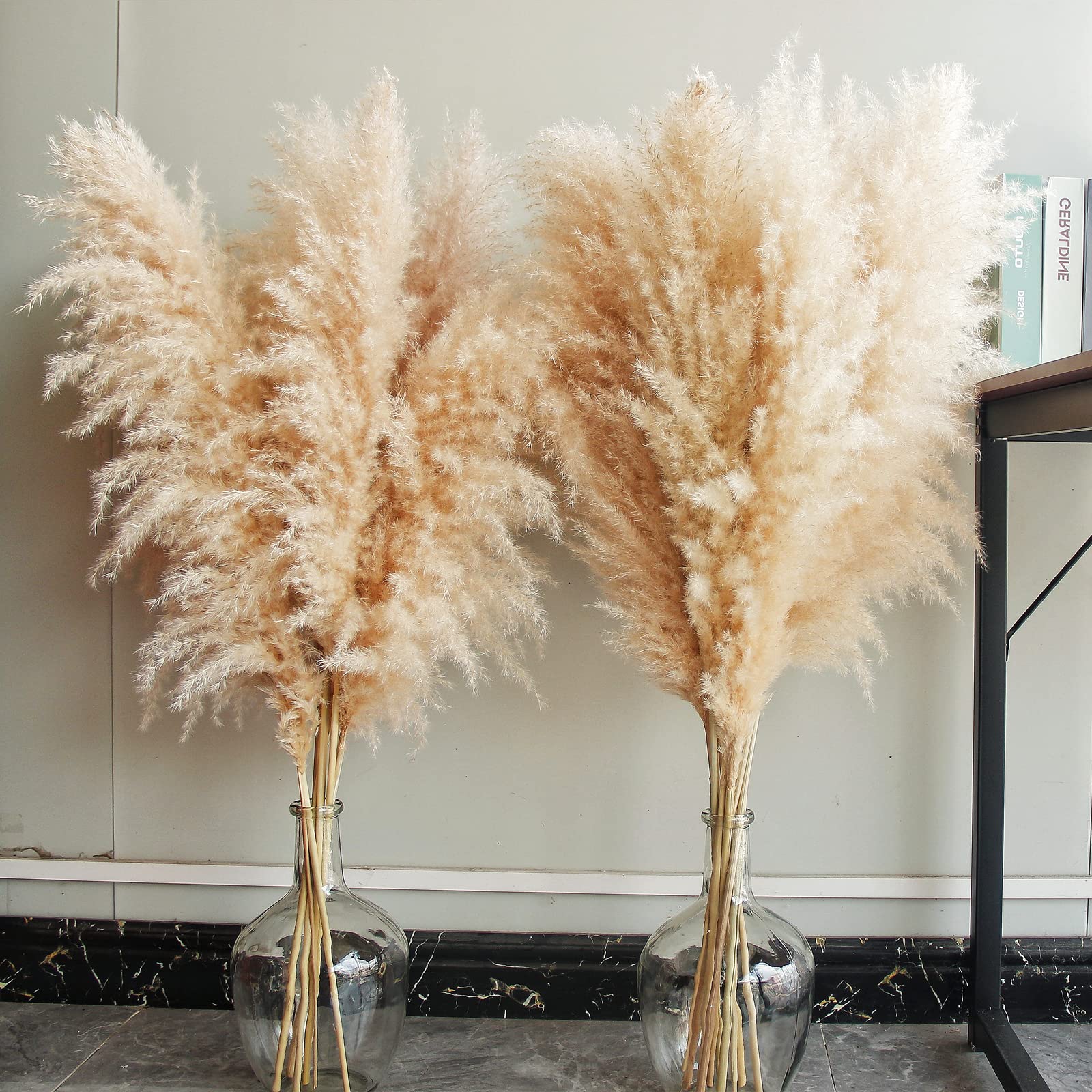 Dried Pampas Grass — Tall (10 Stems, 40")