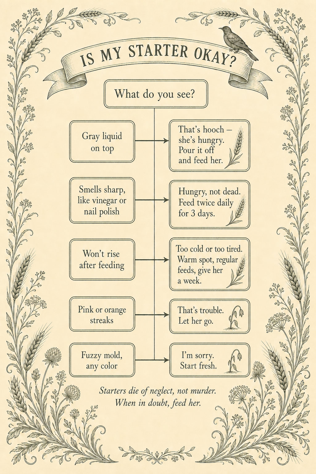 Is My Starter Okay? flowchart full page