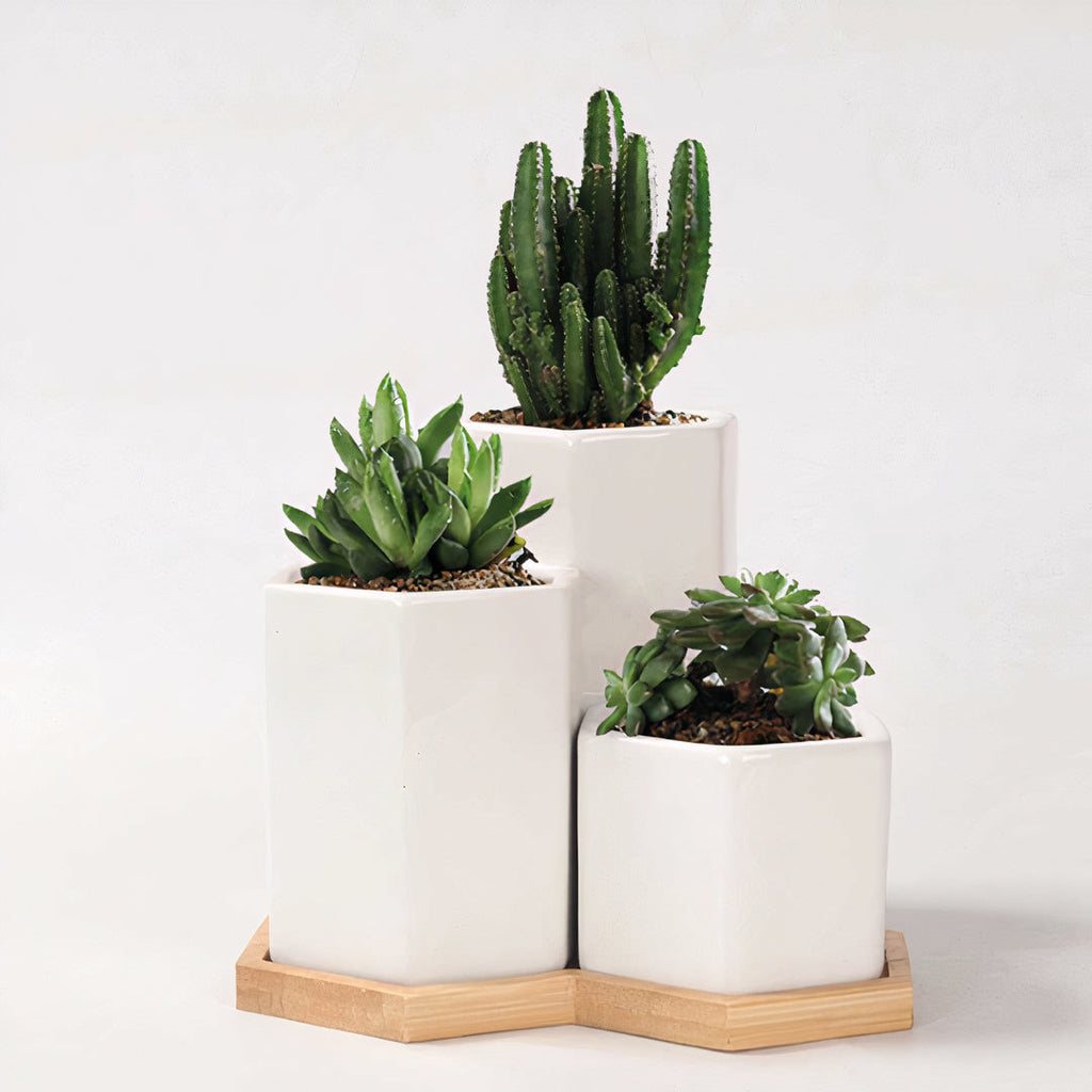 Ceramic Planters — Set of 3 with Bamboo Tray