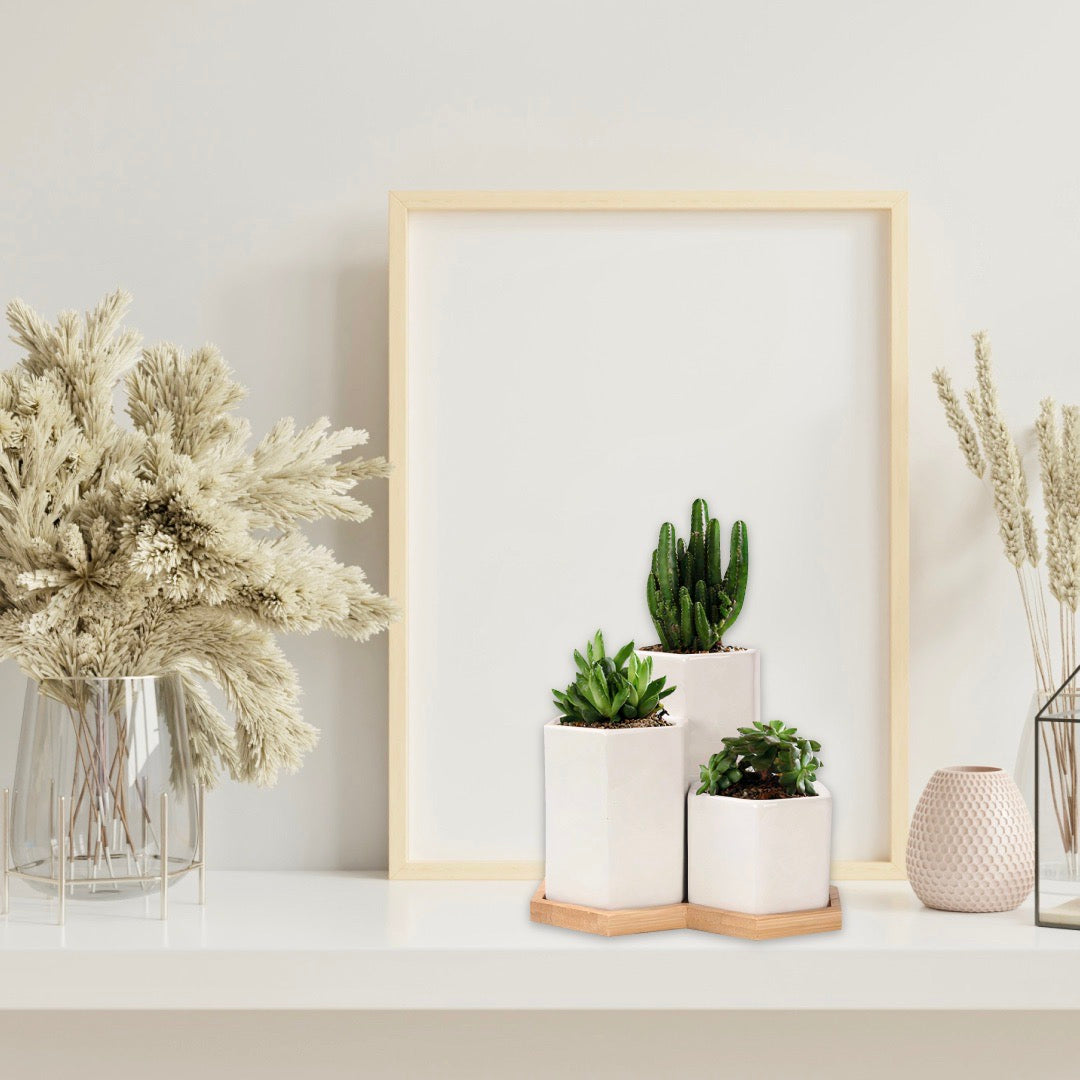 Ceramic Planters — Set of 3 with Bamboo Tray